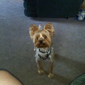 Meet your Posher, Jon